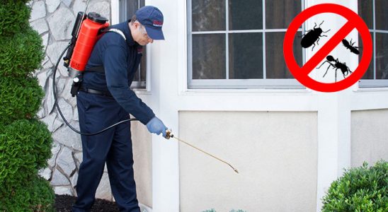 Karamanlı Kemirgen İlaçlama böcek ilaçlama ve haşere kontrolü — ilaclama-tr.com